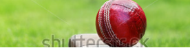 Cricket